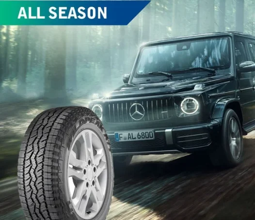 ALL-SEASON-e1782204806636
